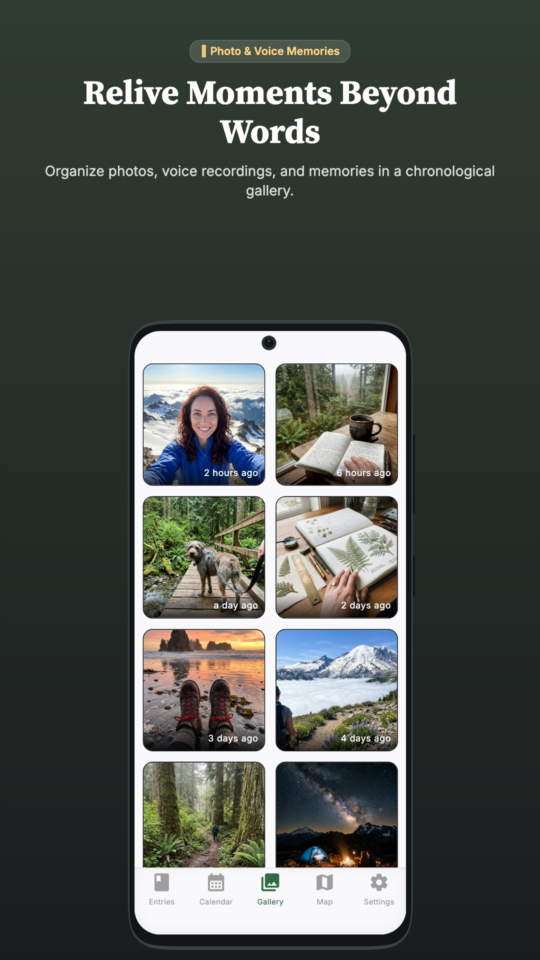Chronological media gallery organizing photos, audio recordings, and journal attachments